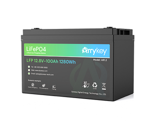 Dyness 1.2kwh Lithium Battery 12V LR1 100ah - World Of Sun & Windpower