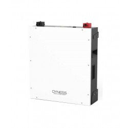 R*5.1kwh Dyness DL 1C Lithium Battery 48v