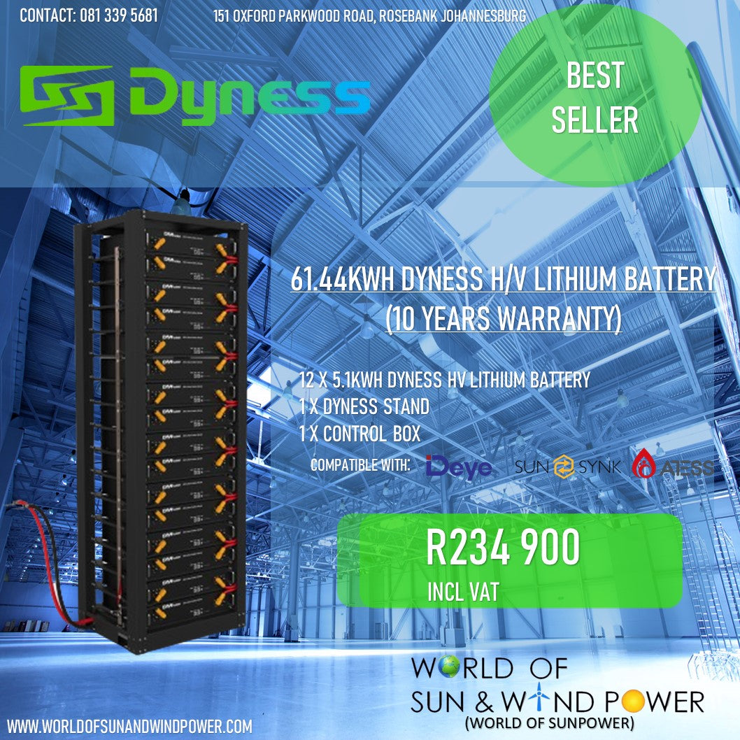 61.44kwh Dyness HIGH VOLTAGE Lithium Battery